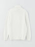 LC Waikiki Turtleneck Long Sleeve Men's Tricot Sweater